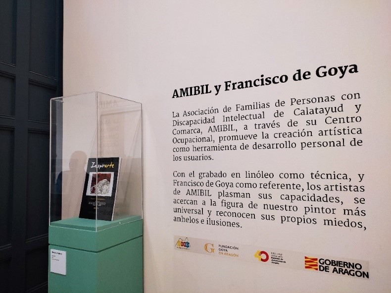 amibil-exposicion-museo-provincial-de-zaragoza
